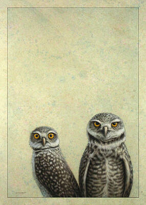 Owls Original Artwork