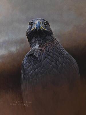  Painting - Golden Eagle Study by Alan M Hunt