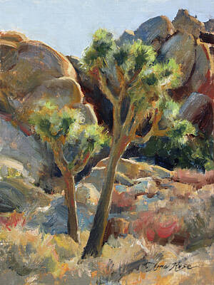 3D Rose California National Park-Joshua Trees in Mojave Desert Porcelain Plate 8 3dRose cp_250597_1 
