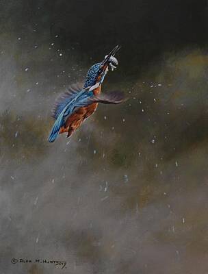  Painting - Kingfisher Flying by Alan M Hunt