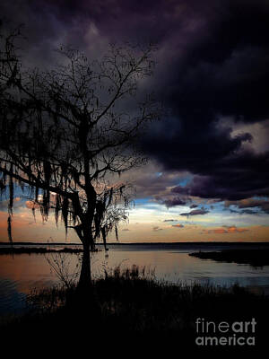  Photograph - Lake Louisa by Robert Stanhope