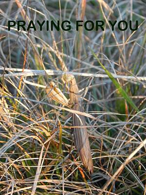  Photograph - Praying For You by Gallery Of Hope