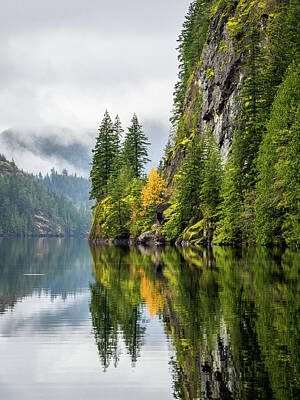 Trees Clifs Fall Color Art