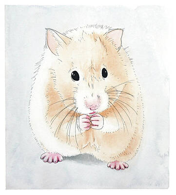 Golden Hamster Poster by Alon Meir - Fine Art America