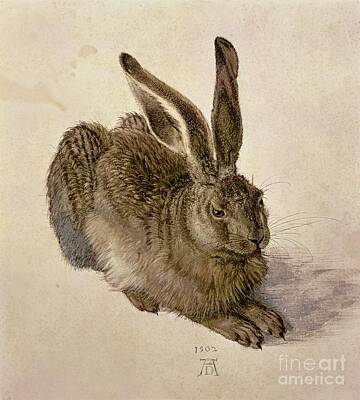 Hare Art