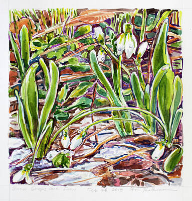  Painting - Snow Drops In The Snow by Ann Heideman