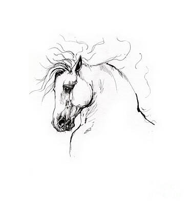 Horse Rose Sketch - The Order Custom Tattoos