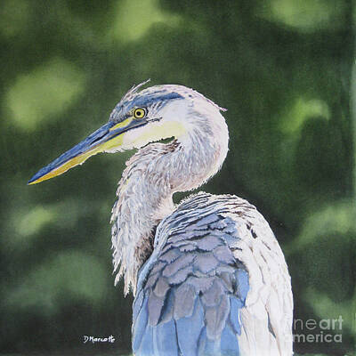  Painting - Great Blue Heron by Diane Marcotte