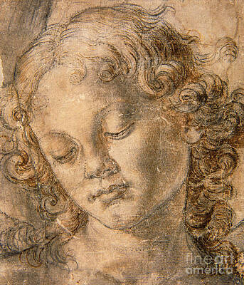 Verrocchio Art