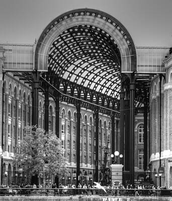 Hays Galleria Art