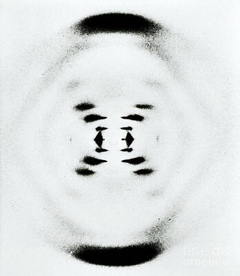 X-ray Image Art