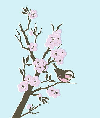 Cherry Blossoms Drawings