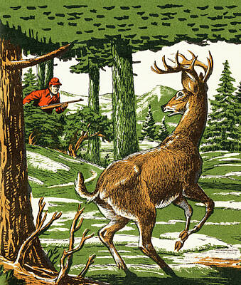 137824 Deer Drawing Images Stock Photos  Vectors  Shutterstock