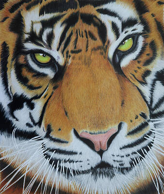  Painting - Tiger King by Melanie Feltham