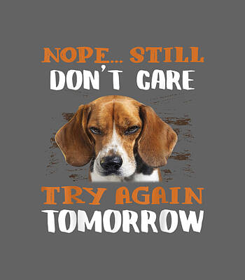 Nope still don't care try again tomorrow - Pitbull dog