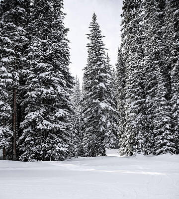 Copper Mountain Photos