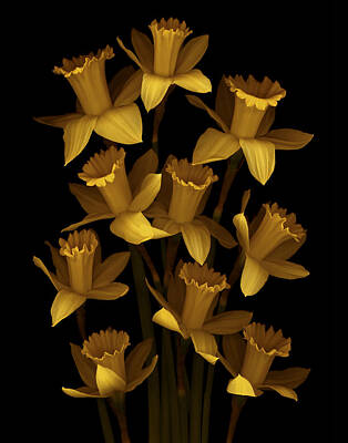 Designs Similar to Dark Daffodils by Marsha Tudor