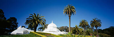 Conservatory Of Flowers Photos
