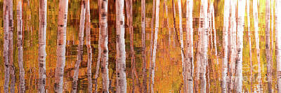 Reflection Of Trees In Lake Art Prints