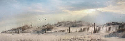 Assateague Island National Seashore Mixed Media