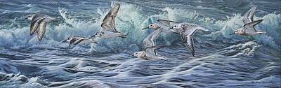 Painting - Flock of Sanderling by Alan M Hunt