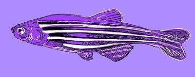 Designs Similar to Zebrafish