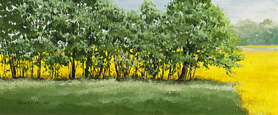  Painting - Rape Seed Fields by Robert Foster
