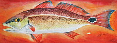  Painting - Red Drum by Kathy Sturr