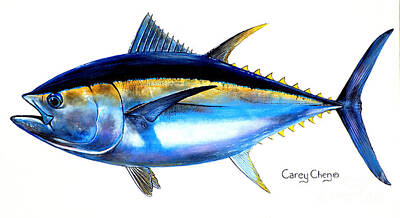 Bonito Fish Art Prints