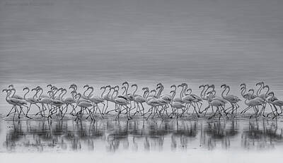 Designs Similar to Comrades by Ahmed Thabet