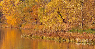 Wehrspann Lake Photos Art Prints