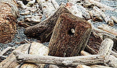  Photograph - Driftwood Piled Up on Beach by Colin Cuthbert