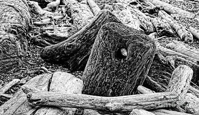  Photograph - Driftwood Piled Up on Beach in Black White by Colin Cuthbert