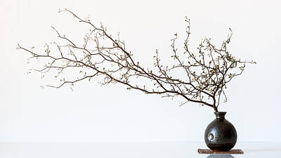 Designs Similar to Vase And Branch by Prbimages
