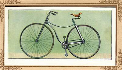 Rover Bicycle Art