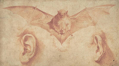 Designs Similar to A Bat and Two Ears