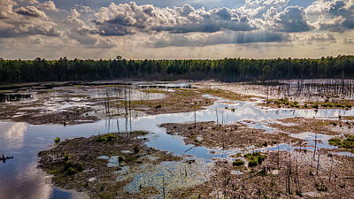  Photograph - Goshen Pond Landscape by Louis Dallara