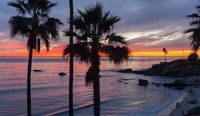  Photograph - Palm tree Pacific Sunset by Cliff Wassmann