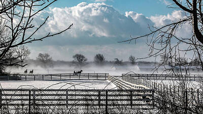  Photograph - Racing Horses Fair Winds Farm by Louis Dallara
