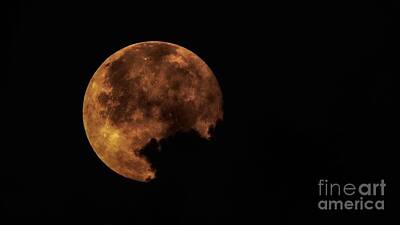  Photograph - Strawberry Moon by Robert Stanhope