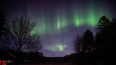  Photograph - The Northern Lights Curtains, Aurora Borealis  by Torbjorn Swenelius