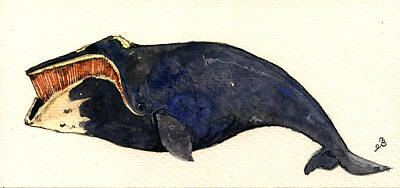 Designs Similar to Right whale #1 by Juan  Bosco