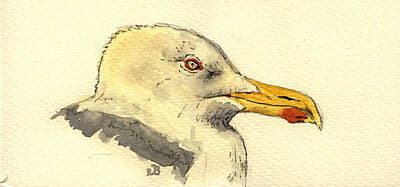 Herring Gull Original Artwork