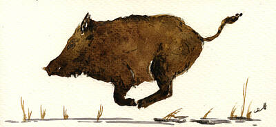 Boar Original Artwork