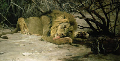 Designs Similar to Lion Reclining in a Landscape