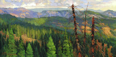 Wilderness Area Paintings