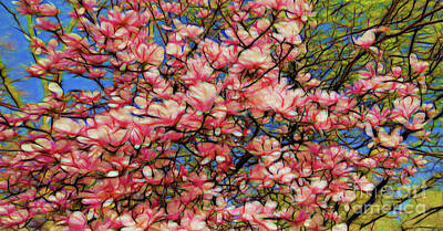  Photograph - Spring Blossoms by Colin Cuthbert
