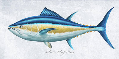 Bluefin Tuna Mixed Media