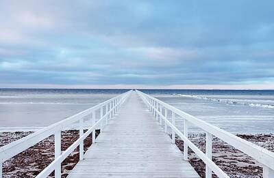 Sand Fences Art