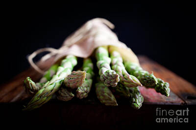 Designs Similar to Asparagus #2 by Kati Finell